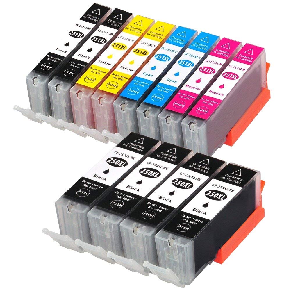 12 Cartouche d'encre Compatible Canon PGI-250XL - CLI-251XL Haut Rendement