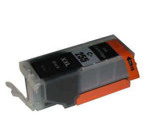 Cartouche d'encre Compatible Canon PGI-255XL Haut Rendement Noir